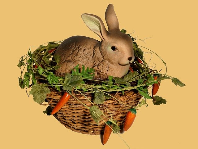 Gratis download Easter Bunny - gratis foto of afbeelding om te bewerken met GIMP online afbeeldingseditor