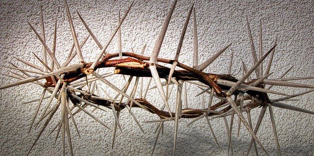 Free download Easter Crown Of Thorns Crucifixion -  free free photo or picture to be edited with GIMP online image editor