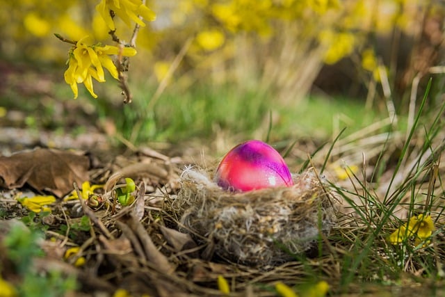 Free download easter egg easter easter bunny free picture to be edited with GIMP free online image editor
