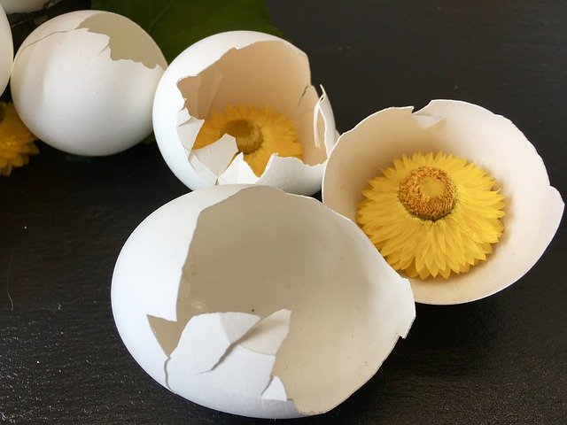 Template Photo Easter Egg Flower -  for OffiDocs