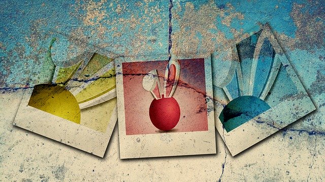 Free download Easter Egg Hase Polaroid -  free illustration to be edited with GIMP free online image editor