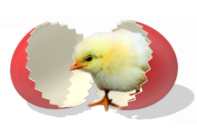 Free download Easter Egg Red -  free illustration to be edited with GIMP free online image editor