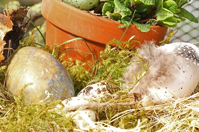 Free download Easter Eggs Nest -  free photo or picture to be edited with GIMP online image editor