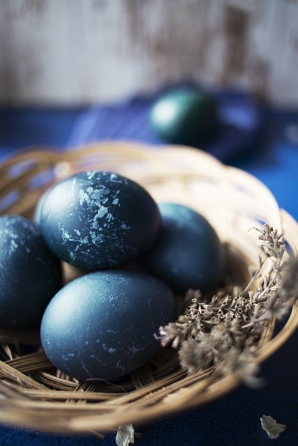 Free download easter eggs nest easter eggs free picture to be edited with GIMP free online image editor