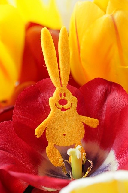 Free download Easter Rabbit Hare free photo template to be edited with GIMP online image editor