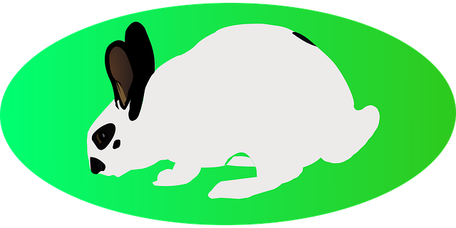Free download Easter White Rabbit Green Ellipse -  free illustration to be edited with GIMP free online image editor