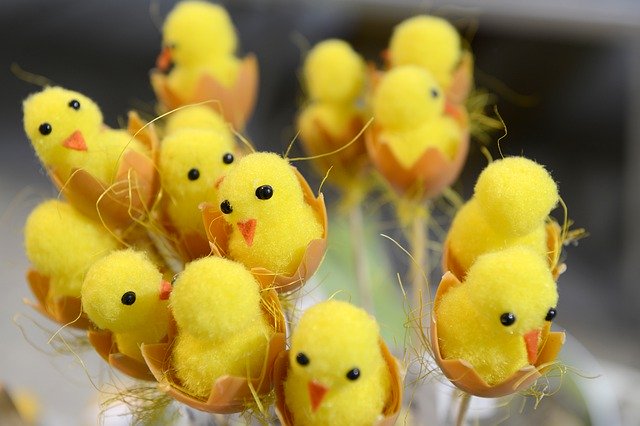 Free download Easter Yellow Spring -  free photo or picture to be edited with GIMP online image editor