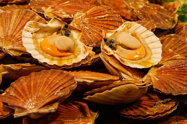 Muat turun percuma Eat Drink Oysters - foto atau gambar percuma untuk diedit dengan editor imej dalam talian GIMP