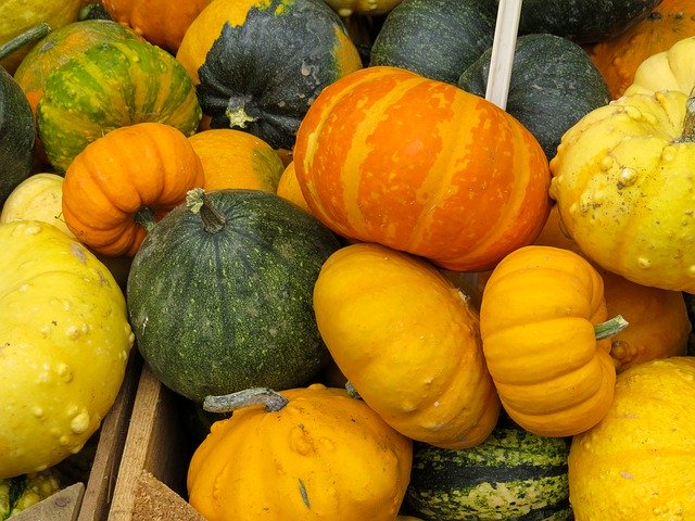 Bezpłatne pobieranie Eat Food Pumpkin - bezpłatne zdjęcie lub obraz do edycji za pomocą internetowego edytora obrazów GIMP
