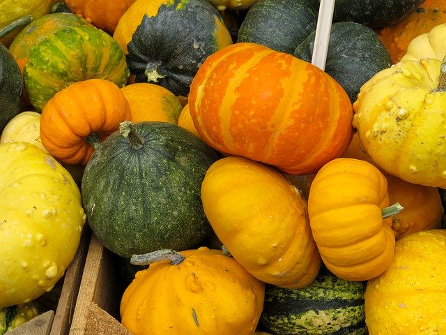 دانلود رایگان Eat Food Pumpkin - عکس یا تصویر رایگان برای ویرایش با ویرایشگر تصویر آنلاین GIMP