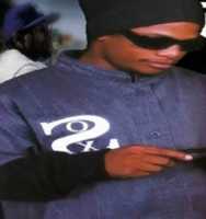 Free download Eazy E Chicago White Sox Starter Cooperstown 1919 Mark Ashys 74 Aka free photo or picture to be edited with GIMP online image editor