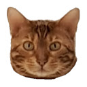 eBay Search  screen for extension Chrome web store in OffiDocs Chromium