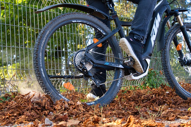 Free download e bike bicycle cycle forest free picture to be edited with GIMP free online image editor