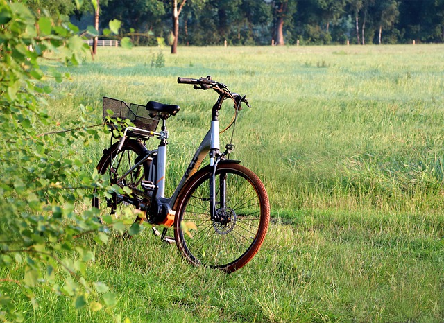 Free download e bike bicycle field electric bike free picture to be edited with GIMP free online image editor