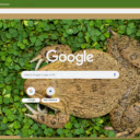 Ech  screen for extension Chrome web store in OffiDocs Chromium