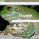 Ech Cay  screen for extension Chrome web store in OffiDocs Chromium