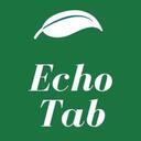 EchoTab  screen for extension Chrome web store in OffiDocs Chromium