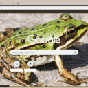 Ech xanh  screen for extension Chrome web store in OffiDocs Chromium