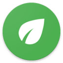 EcoIndex.fr  screen for extension Chrome web store in OffiDocs Chromium