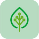 EcoTab: Your Daily Green Guide  screen for extension Chrome web store in OffiDocs Chromium