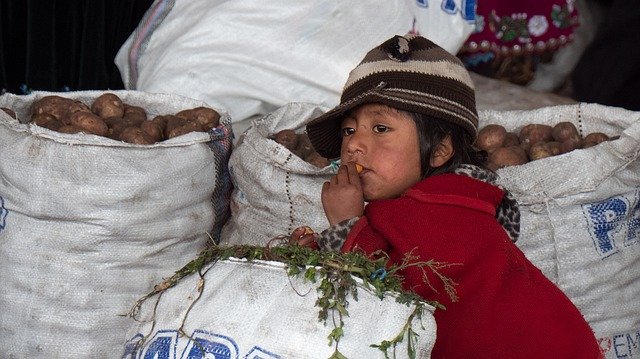 تنزيل مجاني في Ecuador Market Boy - صورة أو صورة مجانية ليتم تحريرها باستخدام محرر الصور عبر الإنترنت GIMP