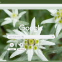 Edelweiss  screen for extension Chrome web store in OffiDocs Chromium