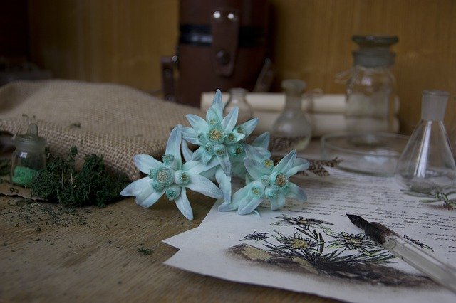 Free download Edelweiss Alchemy -  free photo or picture to be edited with GIMP online image editor