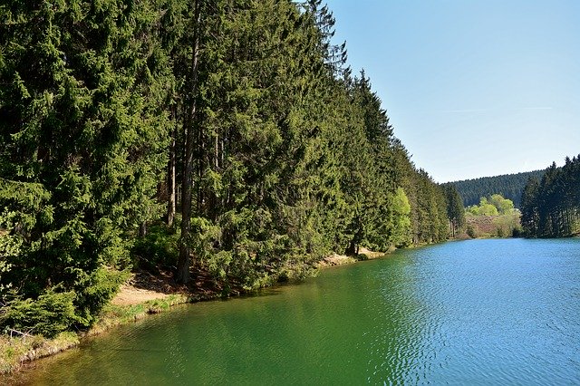 Free download Edge Of The Woods Lake Rest -  free photo or picture to be edited with GIMP online image editor