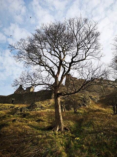 Unduh gratis Edinburgh Scotland Trees - foto atau gambar gratis untuk diedit dengan editor gambar online GIMP