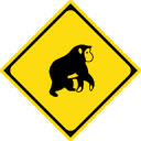 Edit Request Headers  screen for extension Chrome web store in OffiDocs Chromium