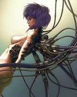 Free download EdradWolf free photo or picture to be edited with GIMP online image editor