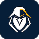 eEagle Proxy Connector  screen for extension Chrome web store in OffiDocs Chromium