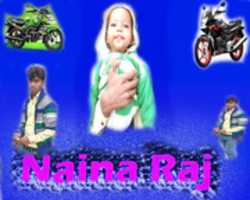 Free download eef free photo or picture to be edited with GIMP online image editor