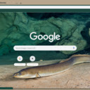Eel  screen for extension Chrome web store in OffiDocs Chromium