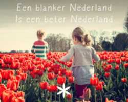 Free download een-blanker-nederland free photo or picture to be edited with GIMP online image editor