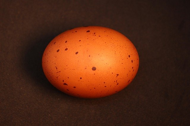 Gratis download Egg Brown Food - gratis foto of afbeelding om te bewerken met GIMP online afbeeldingseditor