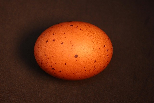 Free download Egg Brown Food -  free photo or picture to be edited with GIMP online image editor