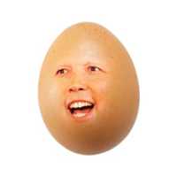 Free download Egg Dutton free photo or picture to be edited with GIMP online image editor