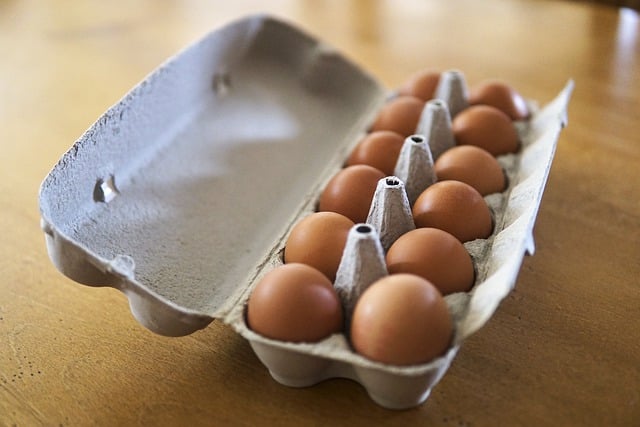 Free download egg easter food chicken chick free picture to be edited with GIMP free online image editor