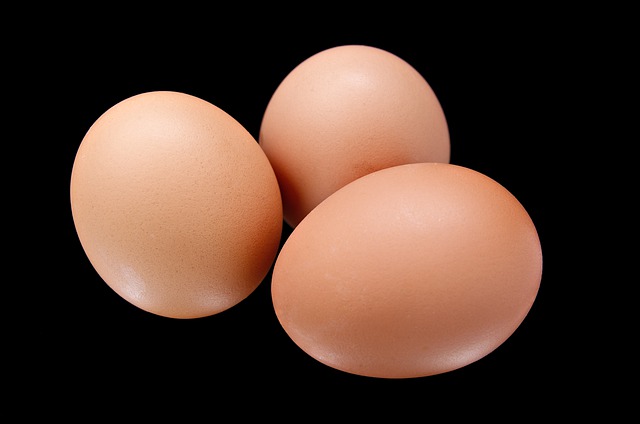 Free download egg food breakfast agriculture free picture to be edited with GIMP free online image editor