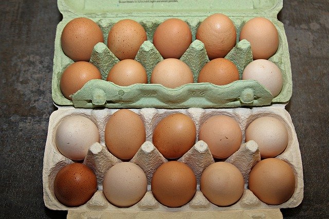 Muat turun percuma Egg Food Eat - foto atau gambar percuma untuk diedit dengan editor imej dalam talian GIMP