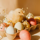 Eggs and Chicks  screen for extension Chrome web store in OffiDocs Chromium