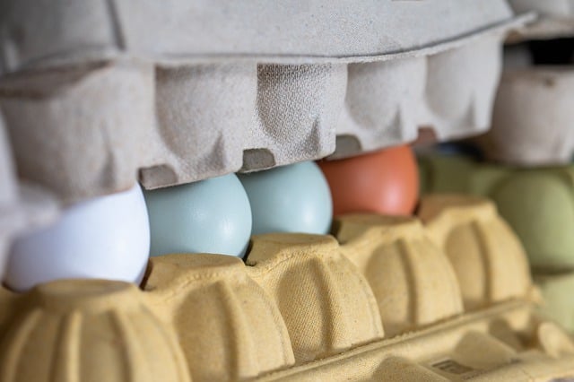 Free download eggs biological fresh raw food free picture to be edited with GIMP free online image editor
