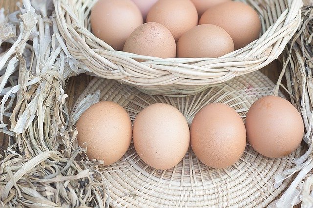 Free download eggs chicken eggs eggs in a basket free picture to be edited with GIMP free online image editor