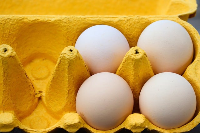 Free download eggs chicken eggs food organic free picture to be edited with GIMP free online image editor