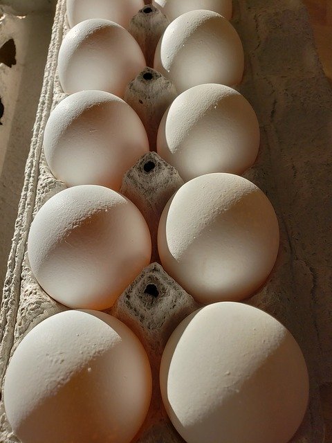 Bezpłatne pobieranie darmowego szablonu zdjęć Eggs Dozen Food do edycji za pomocą internetowego edytora obrazów GIMP