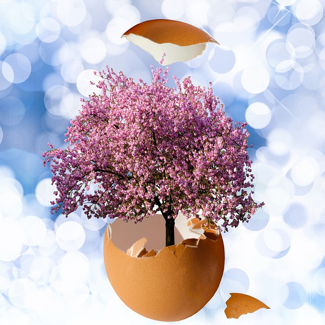 Free download eggshell tree bokeh background free picture to be edited with GIMP free online image editor