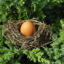 Eggs in the nest  screen for extension Chrome web store in OffiDocs Chromium