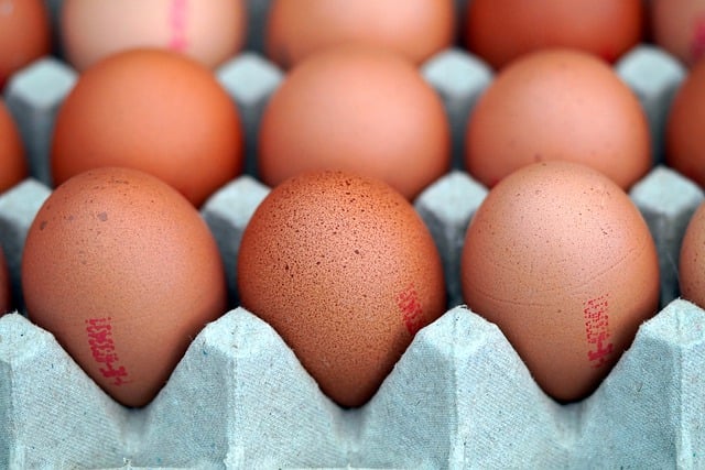 Free download eggs meal food egg crate egg box free picture to be edited with GIMP free online image editor