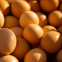 EGG Theme  screen for extension Chrome web store in OffiDocs Chromium